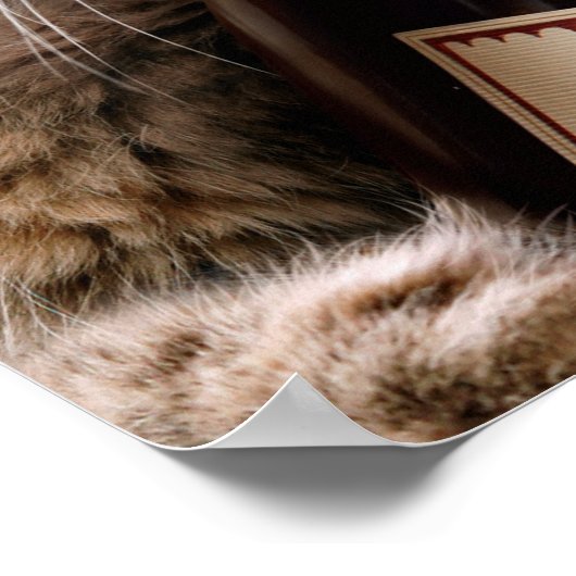 Weihnachtskatze mit Weinflasche Poster (Ecke)