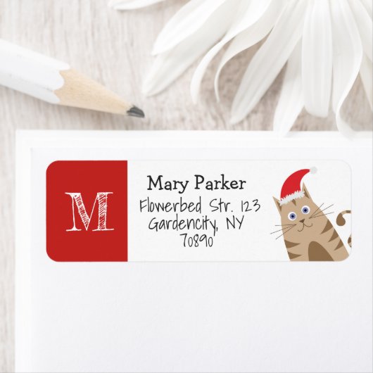 Weihnachtskatze niedlicher lustiger Cartoon (Insitu)