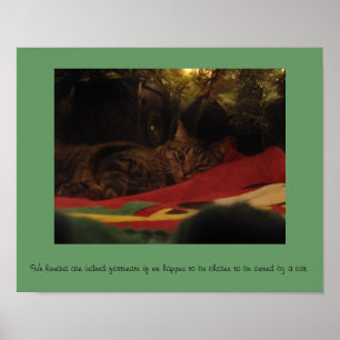 Weihnachtskatze Poster