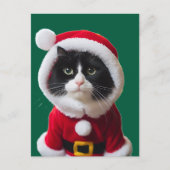 Weihnachtskatze Postkarte (Vorderseite)