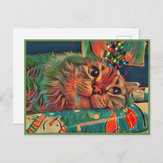 Weihnachtskatze Postkarte (Vorne/Hinten)