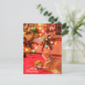 Weihnachtskatze Postkarte (Stehend Vorderseite)