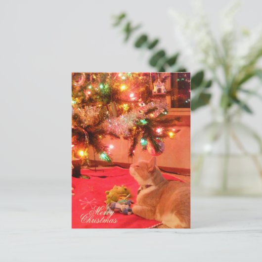 Weihnachtskatze Postkarte (Stehend Vorderseite)
