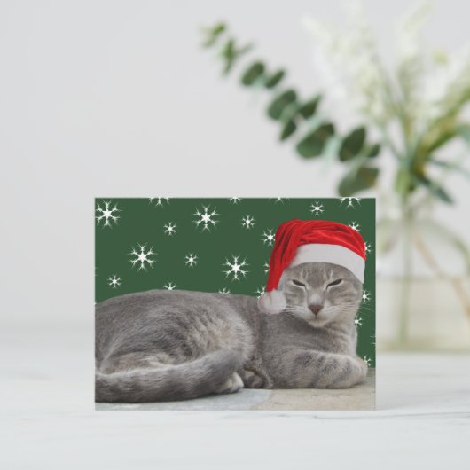 Weihnachtskatze Postkarte (Stehend Vorderseite)