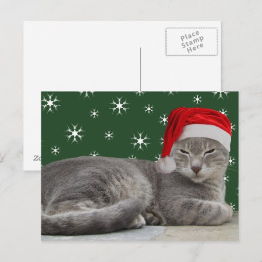 Weihnachtskatze Postkarte (Vorne/Hinten)
