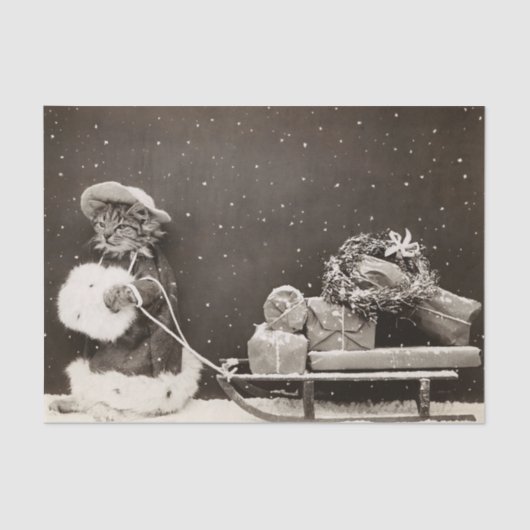 Weihnachtskatze Pulling a Sled of Presents Seidenpapier (Vorderseite)