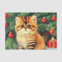 Weihnachtskatze