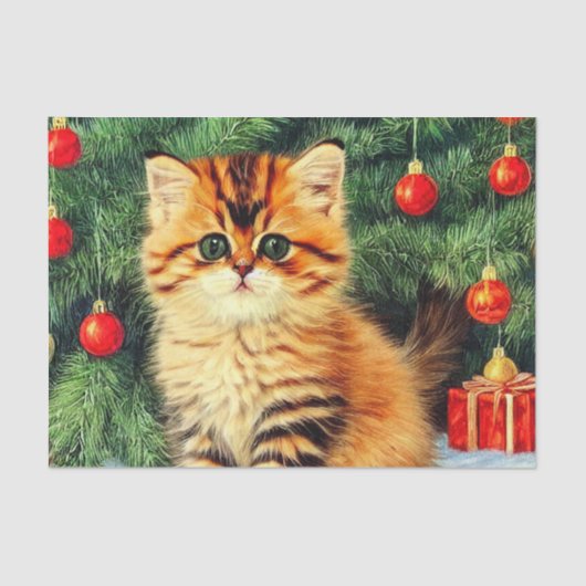 Weihnachtskatze Seidenpapier (Vorderseite)