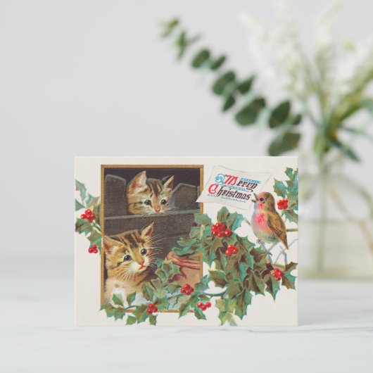 Weihnachtskatze und Holly Berry Postkarte (Stehend Vorderseite)