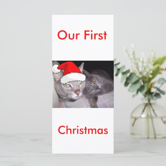 Weihnachtskatzen (Stehend Vorderseite)