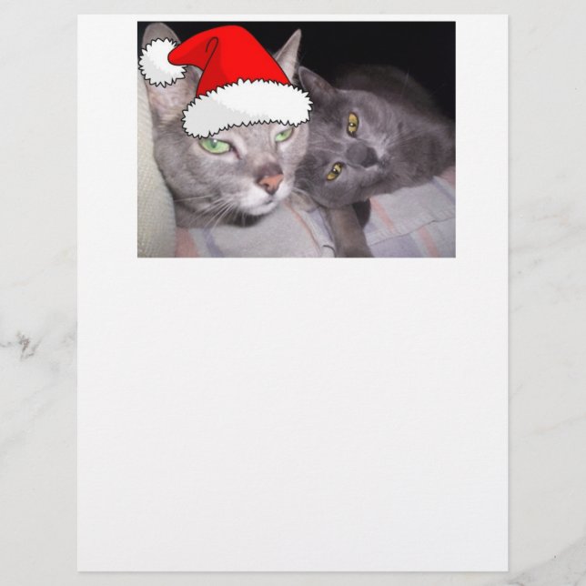 Weihnachtskatzen (Vorderseite)