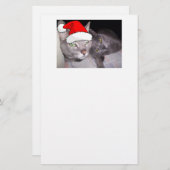 Weihnachtskatzen Briefpapier (Vorne/Hinten)