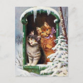 Weihnachtskatzen Feiertag Postkarte (Vorderseite)
