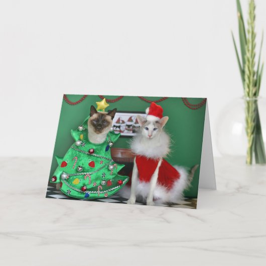Weihnachtskatzen Feiertagskarte (Vorderseite)