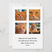 Weihnachtskatzen-FotoCollage Feiertagskarte (Rückseite)