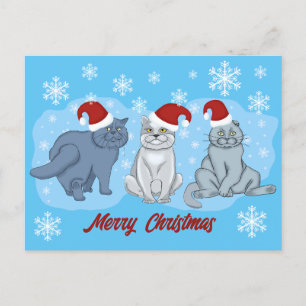 Weihnachtskatzen Frohe Weihnachten