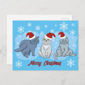 Weihnachtskatzen Frohe Weihnachten (Vorne/Hinten)