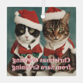 Weihnachtskatzen Glass personalisierte Niedliche K Ornament Aus Glas (Rückseite)