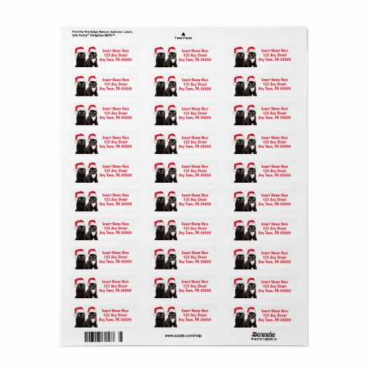 Weihnachtskatzen in Weihnachtsmannmützen (Vorne)