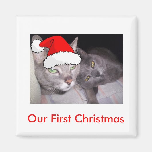 Weihnachtskatzen Magnet (Vorne)