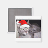 Weihnachtskatzen Magnet (Vorderseite/Rückseite)