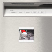 Weihnachtskatzen Magnet (In Situ (Geschirrspüler))