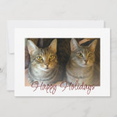 Weihnachtskatzen Niedlich Feiertagskarte (Vorderseite)