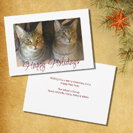 Weihnachtskatzen Niedlich Feiertagskarte