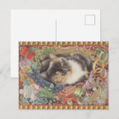 Weihnachtskatzen-Postkarte, Postkarte (Vorne/Hinten)