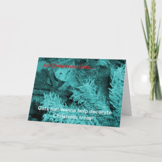 Weihnachtskatzen wollen Grußkarte Feiertagskarte (Vorderseite)