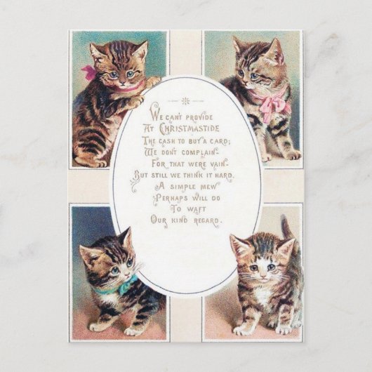 Weihnachtskatzengedicht Postkarte (Vorderseite)