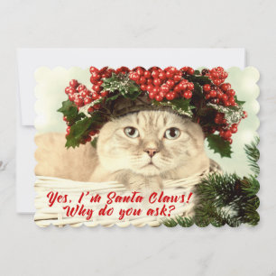 Weihnachtskatzenjacke - Zwei Side Card Feiertagskarte
