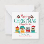 Weihnachtskatzenjunge Mitteilungskarte (Vorderseite)