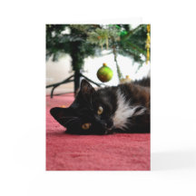 Weihnachtskatzenkarte