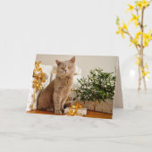 Weihnachtskatzenkarte Karte (Gelbe Blume)