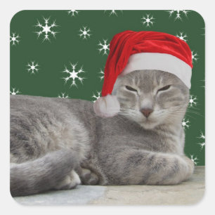 Weihnachtskatzenkleber Quadratischer Aufkleber