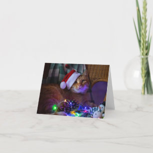 Weihnachtskatzenleder-Grußkarte Dankeskarte