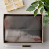 Weihnachtskatzenpapier Seidenpapier (Geschenk)