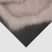 Weihnachtskatzenpapier Seidenpapier (Detail)