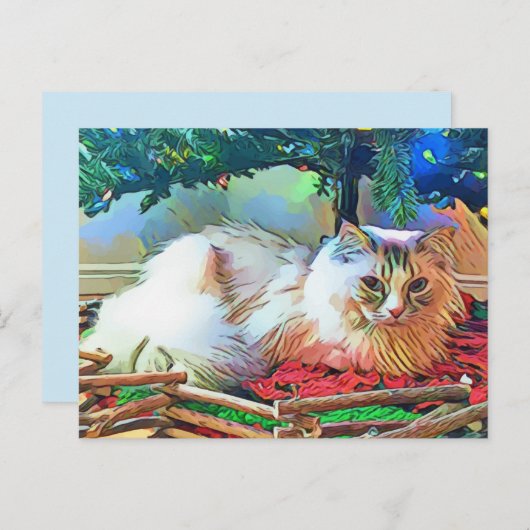 Weihnachtskatzenpostkarte Postkarte (Vorne/Hinten)