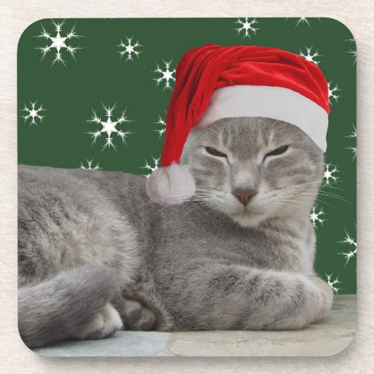 WeihnachtskatzenUntersetzer Getränkeuntersetzer (Vorderseite)
