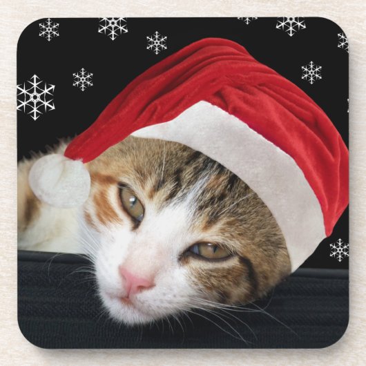 WeihnachtskatzenUntersetzer Getränkeuntersetzer (Vorderseite)