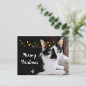 Weihnachtskatzenurlaub Postkarte (Stehend Vorderseite)