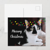 Weihnachtskatzenurlaub Postkarte (Vorne/Hinten)