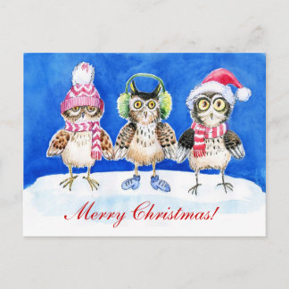 Weihnachtskauz Aquarellkunst Feiertagspostkarte