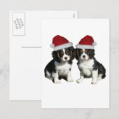 Weihnachtskavaliere Feiertagspostkarte (Vorne/Hinten)