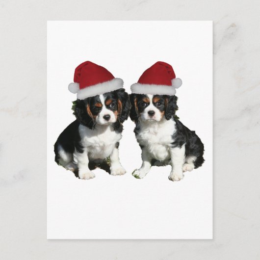 Weihnachtskavaliere Feiertagspostkarte (Vorderseite)