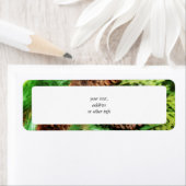 Weihnachtskegel (Insitu)