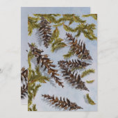 Weihnachtskegel Evergreen Zweige Karte (Vorne/Hinten)