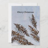 Weihnachtskegel Evergreen Zweige Karte (Rückseite)